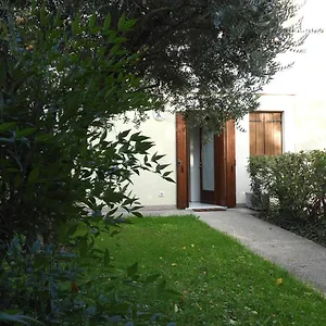 Morena Asolo